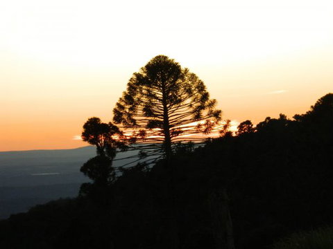 Bunya Mountains Accommodation Centre - Sunshine Coast Tourism 0