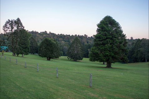 Bunya Mountains Accommodation Centre - Sunshine Coast Tourism 5