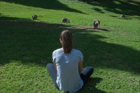 Bunya Mountains Accommodation Centre - Sunshine Coast Tourism 7