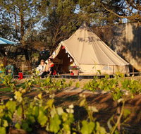 Grapevine Glamping - Sunshine Coast Tourism