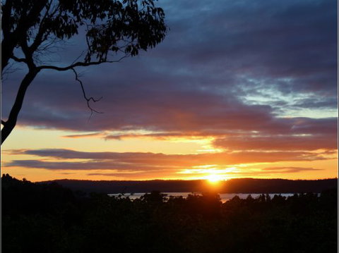 Herons Rise Vineyard Accommodation - Sunshine Coast Tourism 4