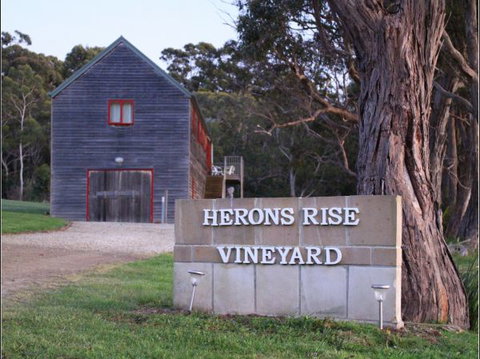 Herons Rise Vineyard Accommodation - Sunshine Coast Tourism 6