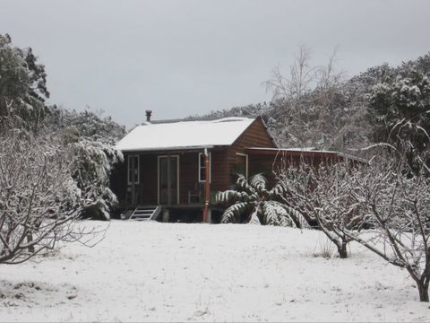 Peach Tree Cabin - Holiday Sunshine Coast 9