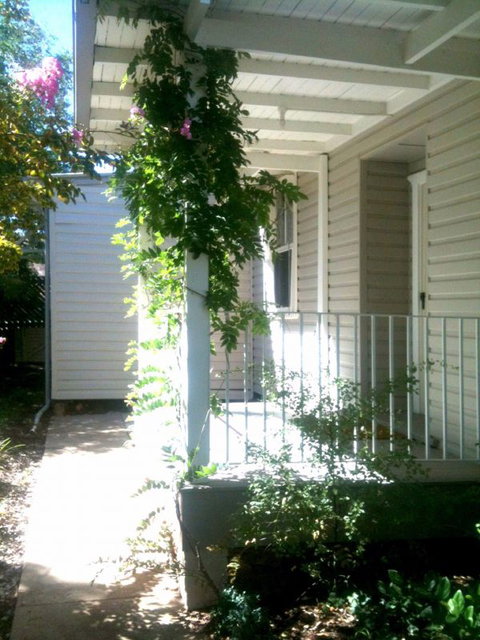 Wisteria Cottage - Sunshine Coast Tourism 0