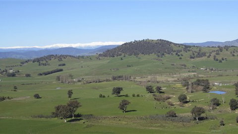 Rancho Relaxo - Sunshine Coast Tourism 0