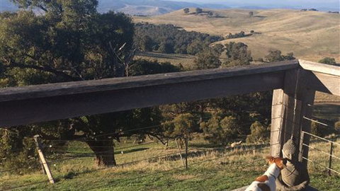 Merrindie - Holiday Sunshine Coast 5