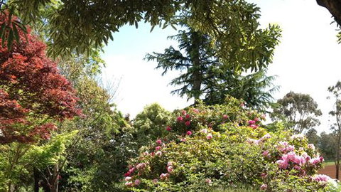 Chestnut Springs - Sunshine Coast Tourism 2