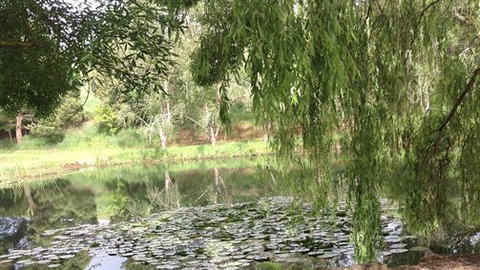 Chestnut Springs - Sunshine Coast Tourism 7