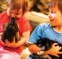 Macka's Farm - Sunshine Coast Tourism