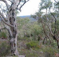 The Glen - Sunshine Coast Tourism