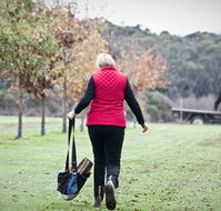 Black Cat Cottage - Sunshine Coast Tourism