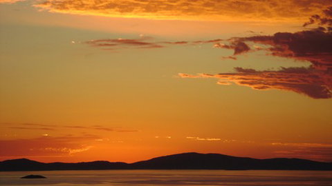 A Fare With Nature @ Prom Road Farm - Holiday Sunshine Coast 5