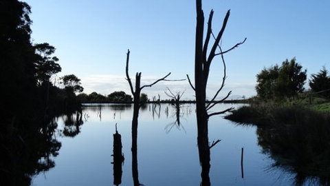 A Fare With Nature @ Prom Road Farm - Holiday Sunshine Coast 6
