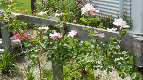 Willy's Holiday House - Sunshine Coast Tourism 4