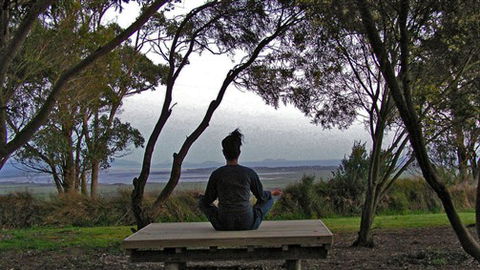 Sabrelyn Park - Sunshine Coast Tourism 4