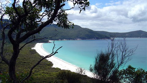 Sabrelyn Park - Sunshine Coast Tourism 6
