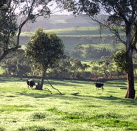 Bellevue Farmstay - Sunshine Coast Tourism