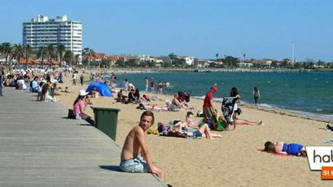 Habitat HQ - Sunshine Coast Tourism 0