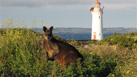 Port Fairy YHA - Sunshine Coast Tourism 2