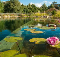Planetrees Lodge - Sunshine Coast Tourism