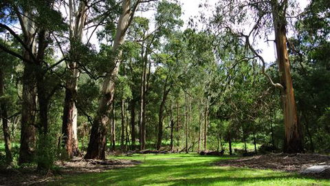 Wildwood Retreat - Holiday Sunshine Coast 0