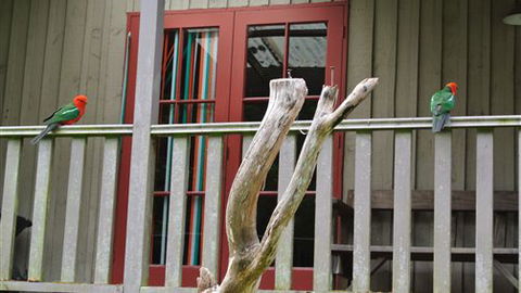 Wildwood Retreat - Holiday Sunshine Coast 4