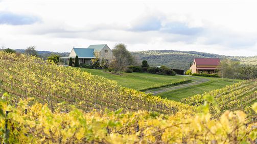  Sunshine Coast Tourism