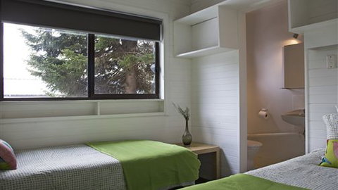 Elk At Falls - Sunshine Coast Tourism 3