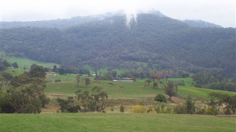 Murphy's Cabin - Sunshine Coast Tourism 1