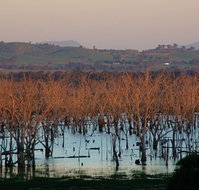 Salisbury - Sunshine Coast Tourism