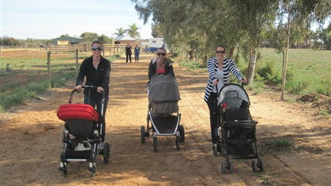 Cabarita Lodge - Sunshine Coast Tourism 3