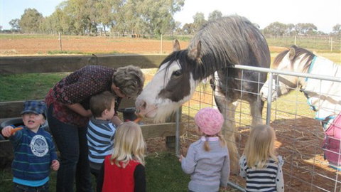 Cabarita Lodge - Sunshine Coast Tourism 4