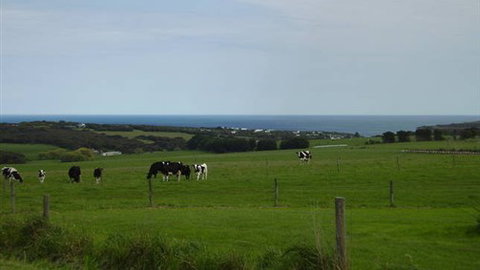 Serenity Views - Sunshine Coast Tourism 4
