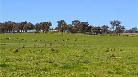Jamel Lodge - Sunshine Coast Tourism 2