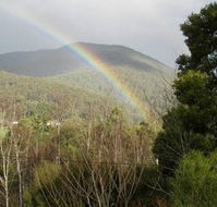 Wattletree Cottage - Sunshine Coast Tourism