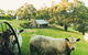 Adelaide Hills Country Cottages - Gum Tree Cottage - thumb 1
