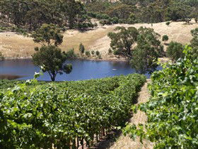 ArtWine Cottages - Holiday Sunshine Coast 1