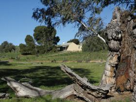 Saunders Gorge Sanctuary - Boundary Cottage - Sunshine Coast Tourism 3