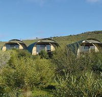 Saunders Gorge Sanctuary - Nature Lodges - Sunshine Coast Tourism