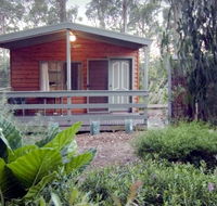 A Maze 'N Things Holiday Park - Holiday Sunshine Coast