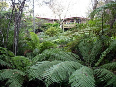 Adelaide Hills Bed & Breakfast Accommodation - Holiday Sunshine Coast 3