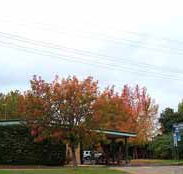 Allambie Motel Pty Ltd - Holiday Sunshine Coast