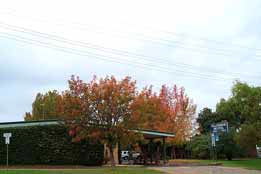 Allambie Motel Pty Ltd - Holiday Sunshine Coast 0