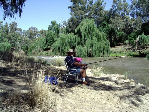 Apex Riverside Park - Sunshine Coast Tourism 3