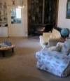 Arcady Homestead - Holiday Sunshine Coast 2