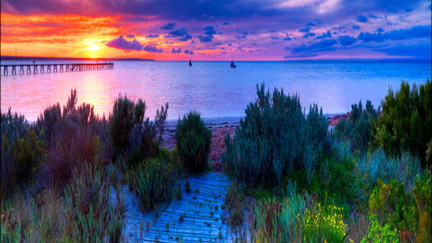 Marion Bay Caravan Park - Holiday Sunshine Coast 1