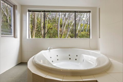 Altezza 1570 By Alpine Boutique Apartments - Sunshine Coast Tourism 4