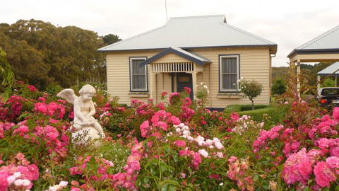 Amor Of Red Hill - Holiday Sunshine Coast 0