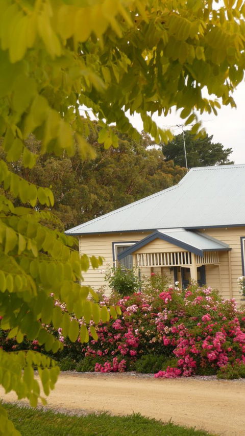 Amor Of Red Hill - Holiday Sunshine Coast 5