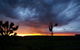 Daysy Hill Country Cottages - thumb 9